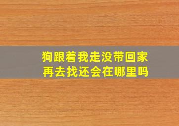 狗跟着我走没带回家 再去找还会在哪里吗